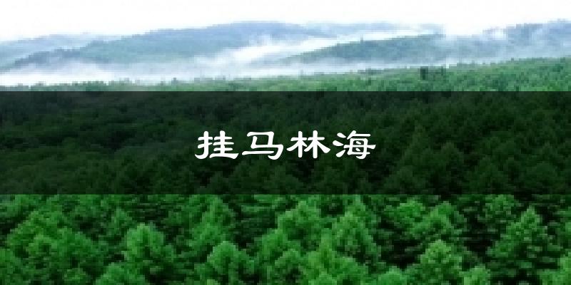 挂马林海天气预报十五天