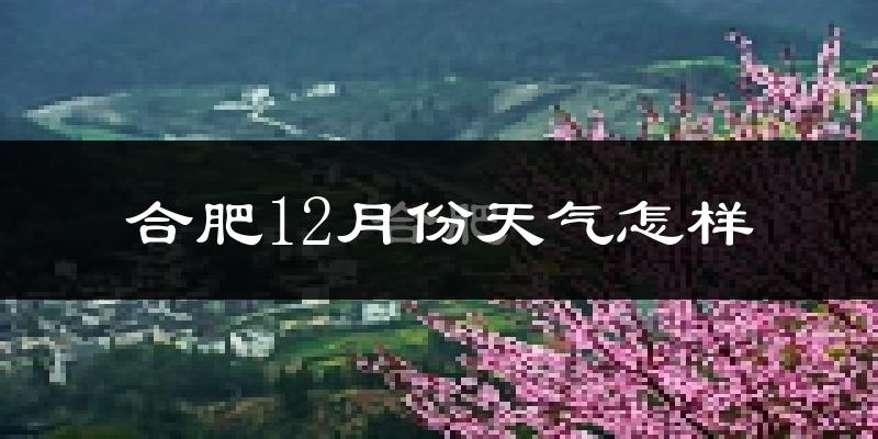 合肥12月份天气怎样?合肥十二月冷不冷?