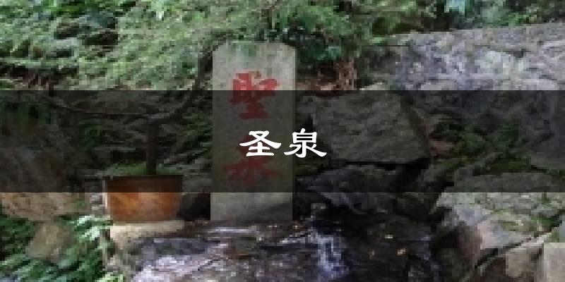 圣泉天气预报十五天