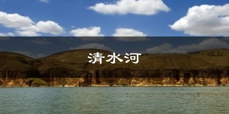 清水河天气预报十五天