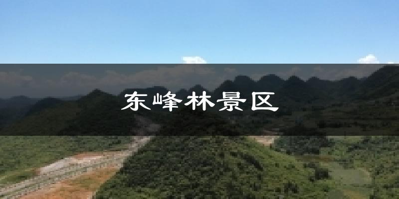 东峰林景区天气预报十五天