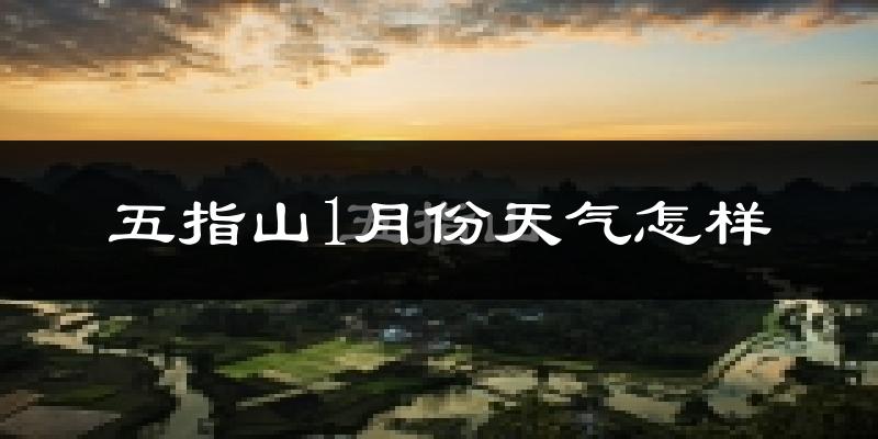 五指山市1月份天气如何?冷吗?