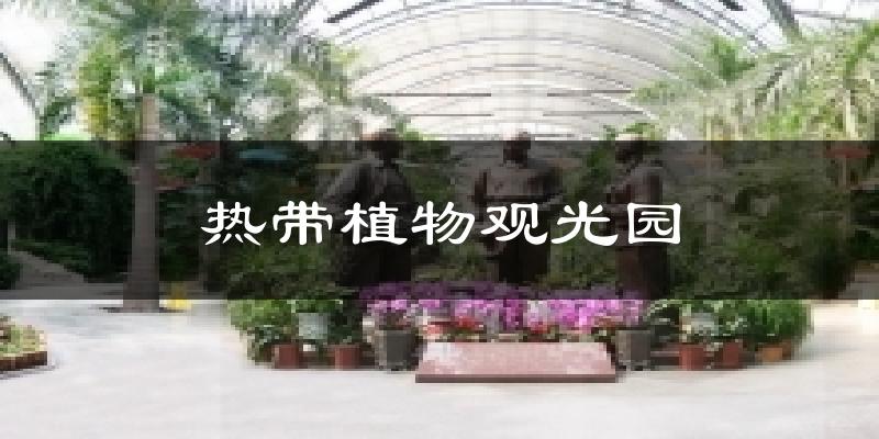 热带植物观光园天气预报十五天
