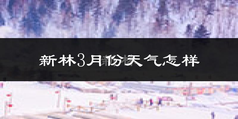 新林3月份天气怎样?新林三月冷不冷?