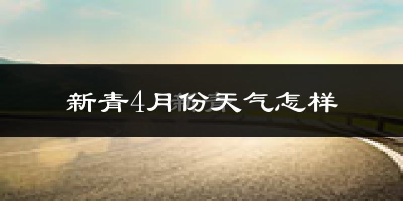 新青4月份天气怎样?新青四月冷吗?