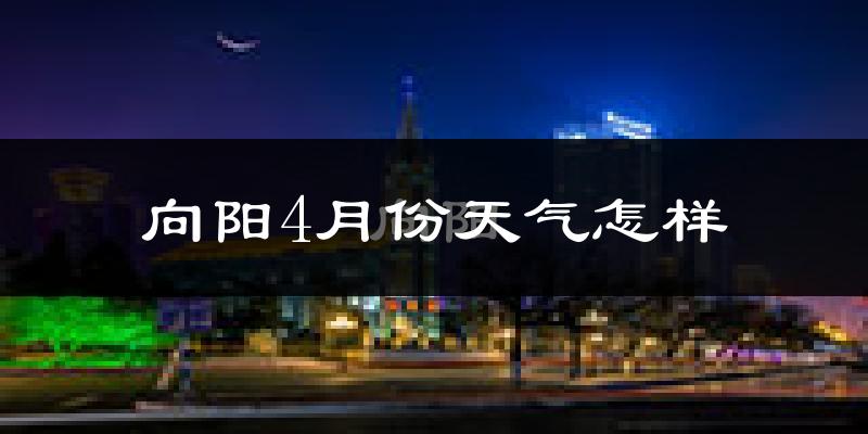 向阳4月份天气怎样?向阳四月冷吗?
