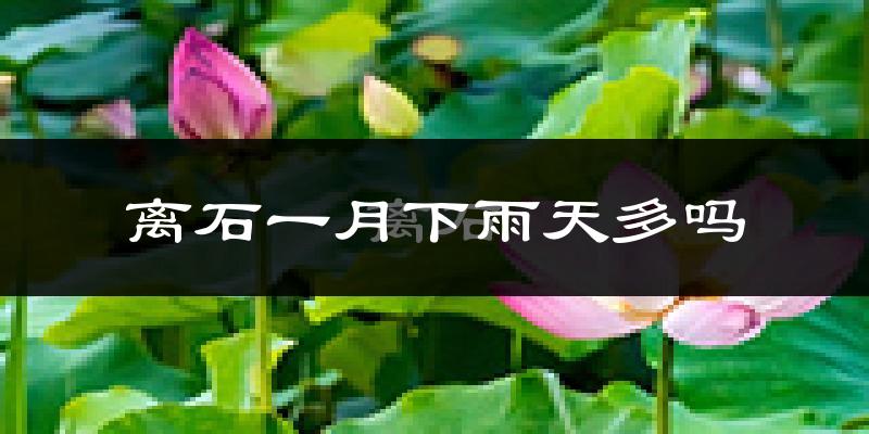 离石一月下雨天多吗?离石1月份降雨量多少?