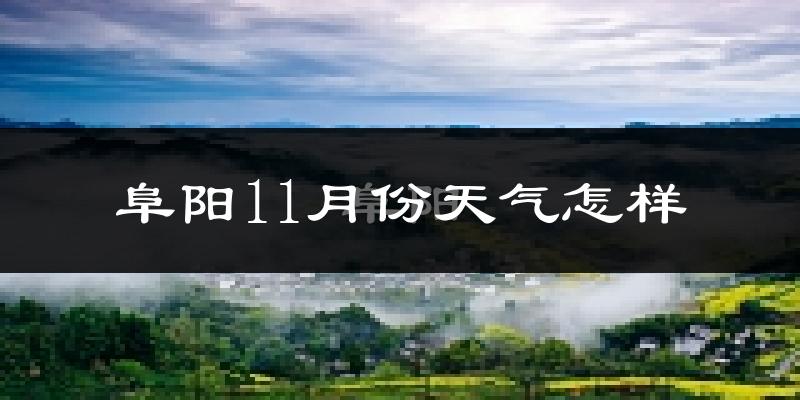 阜阳11月份天气怎样?阜阳十一月冷吗?