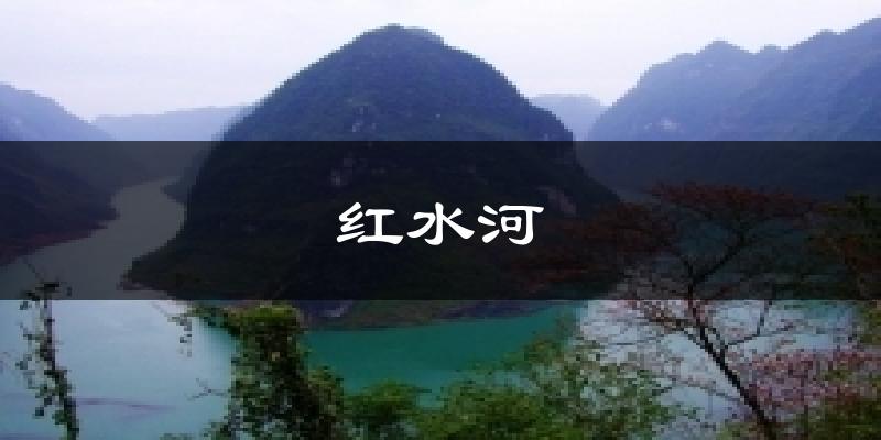 红水河天气预报十五天